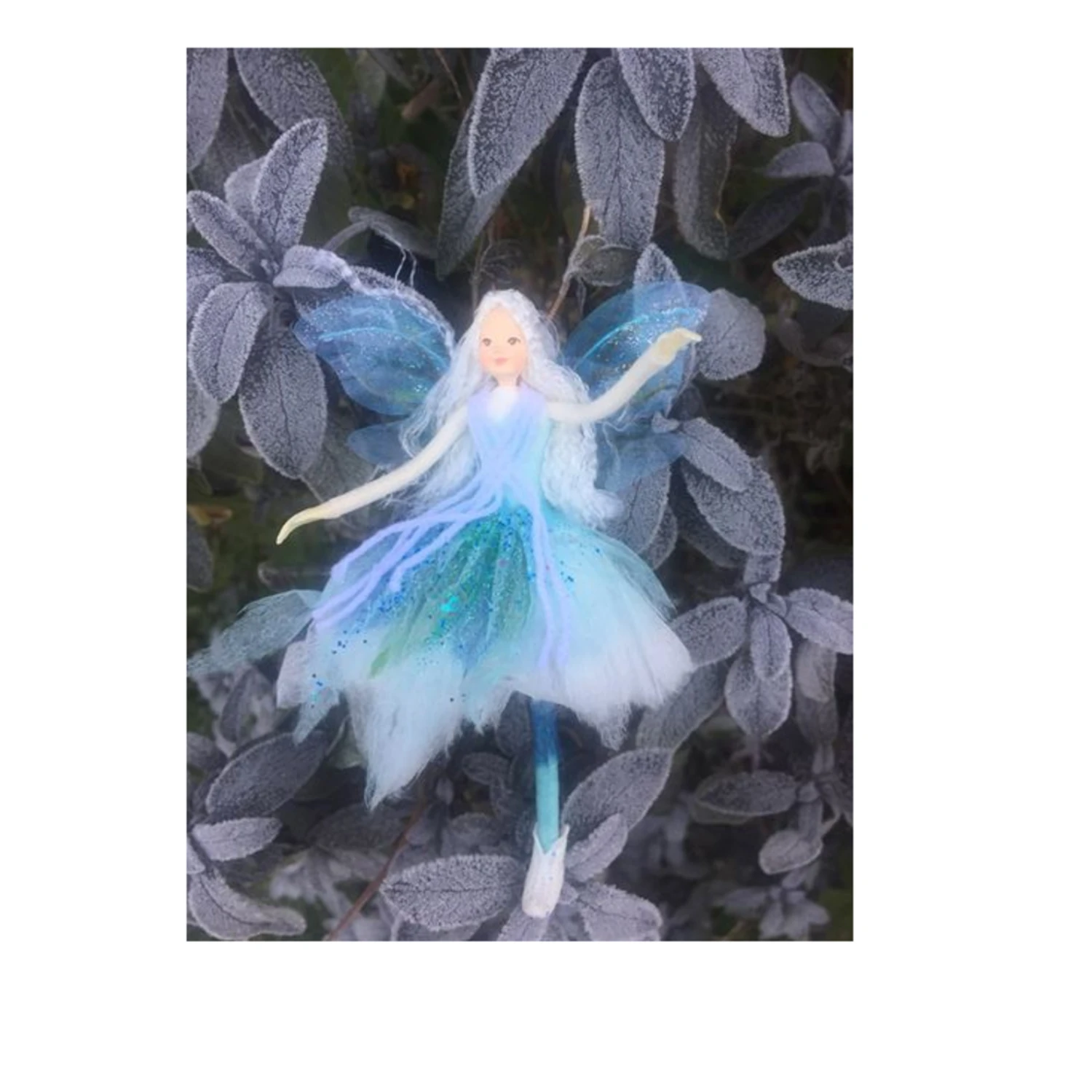 Tassie - Snow Queen - Talia 1 Tassie - Snow Queen - Talia